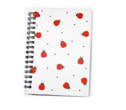 Mini notebook - spring 02